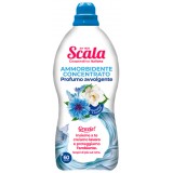 Scala Ammorbidente Per Bucato 1500ml - 60 Lavaggi - Fiordaliso E Gardenia