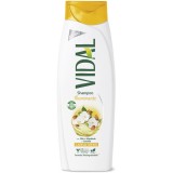 Vidal Shampoo 250ml Illuminante Capelli Spenti - Olio Di Mandorle E Camelia