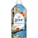 Lenor Ammorbidente Concentrato 87 Lavaggi 1827ml - Polignano