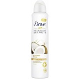 Dove Deodorante Spray Formato Xl 250ml - Nourishing Secret - Cocco