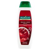 Palmolive Shampoo 350ml - Capelli Colorati - Brilliant Color