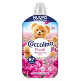 Coccolino Ammorbidente Concentrato - Xxl 87 Lavaggi 1827ml - Seta