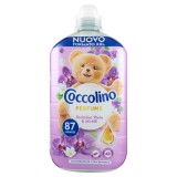 Coccolino Ammorbidente Concentrato Xxl 87 Lavaggi 1827ml Orchidea E Mirtilli